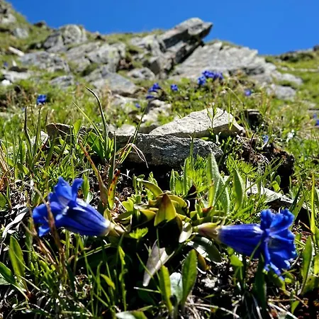 דירה Ferienwohnen Mattle Mit Im Rucksack Silvretta Card Premium