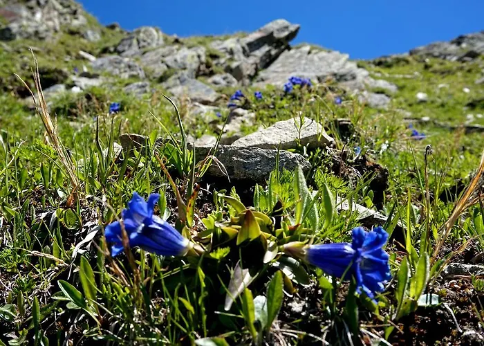 Appartamento Ferienwohnen Mattle - Mattle At